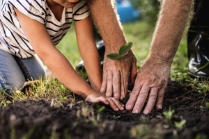 Planning to Succeed: Developing and Implementing a Family Business Succession Plan